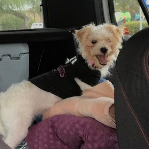 Meet your Posher, Noelia